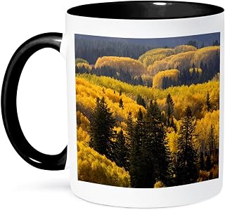 3dRose USA, Colorado. Aspens in Gunnison National Forest. 11oz Two-Tone Black Mug