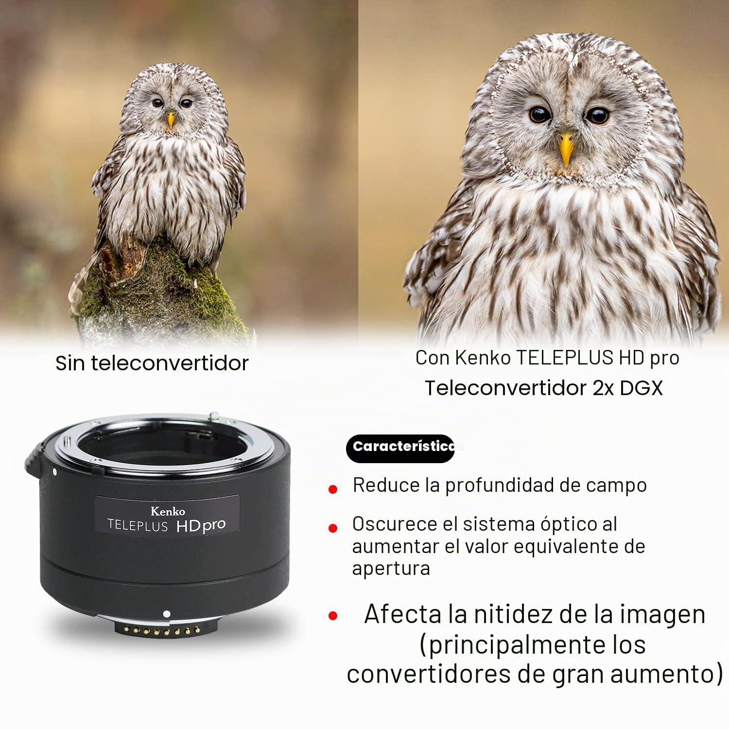 Kenko HD Pro 2X DGX - Multiplicador para Objetivo, Color Negro