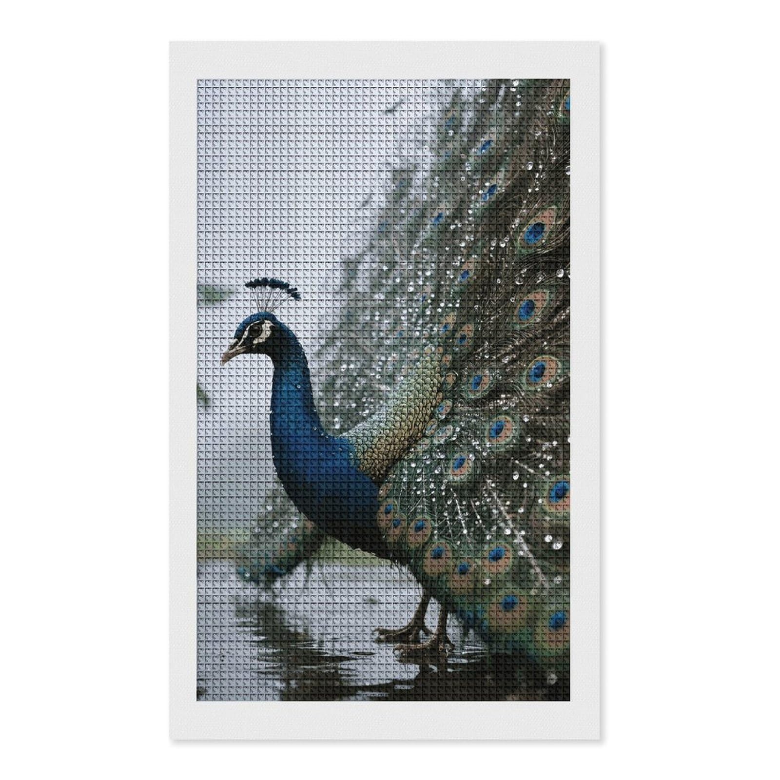 FodPand Peacock 5D Diamond Painting Kits for Adults Beginners Full Drill Square Diamond Dots Pictures Gem Art Supplies for Home Wall Room Decoration DIY Craft Set Gift 12x20