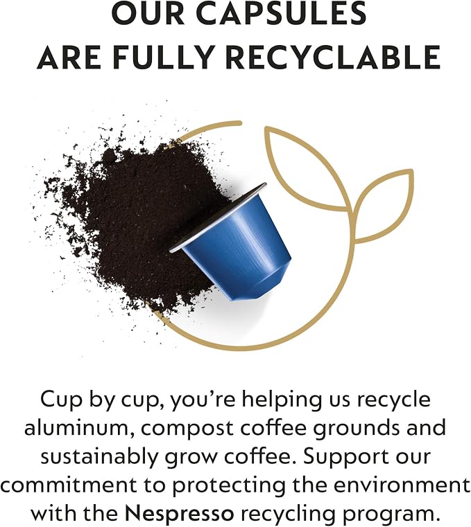 50 Nespresso Capsulas Café Vivalto Lungo Decaf : Amazon.es: Alimentación y  bebidas