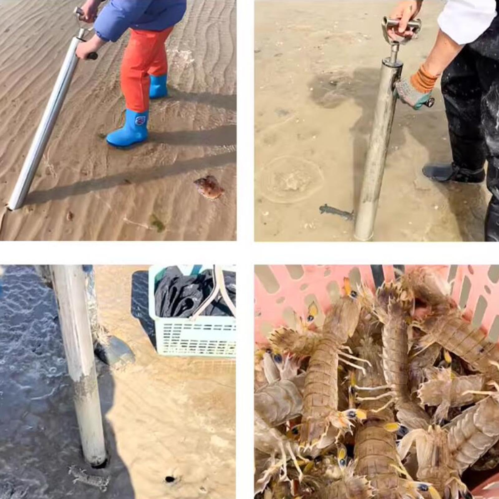Baoblaze Attrezzatura da Pesca Multiuso con Pompa per Gamberetti E Pinze a Clip Multifunzione