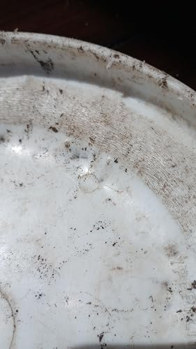 Bad for puppies with strong mouths/bites