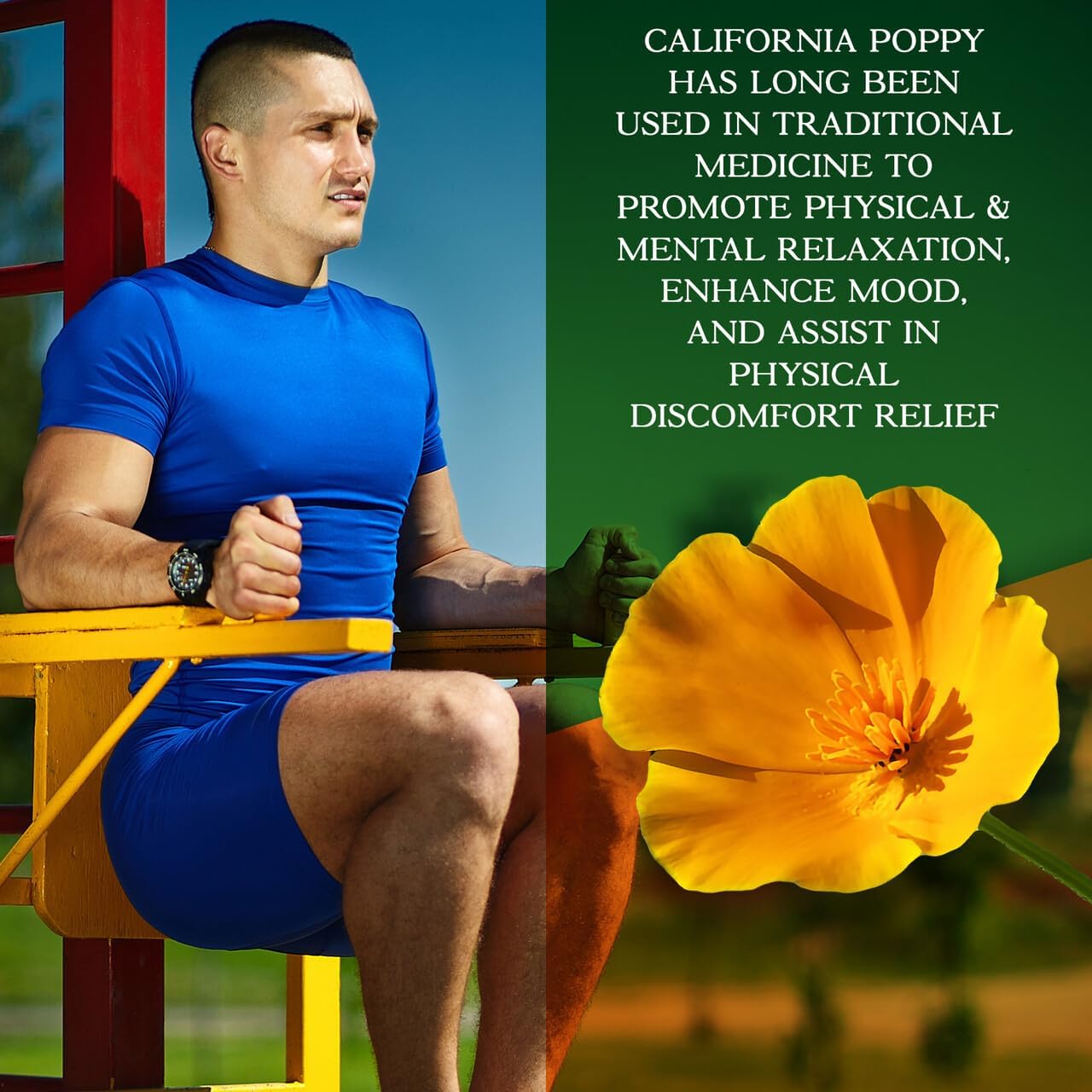 Parker Naturals Wild Lettuce Extract & California Poppy Seed Supplement, 2 Way Premium Strength Herbal Supplement for Healthy Sleep & Relief Support, 120 Capsules - Image 5