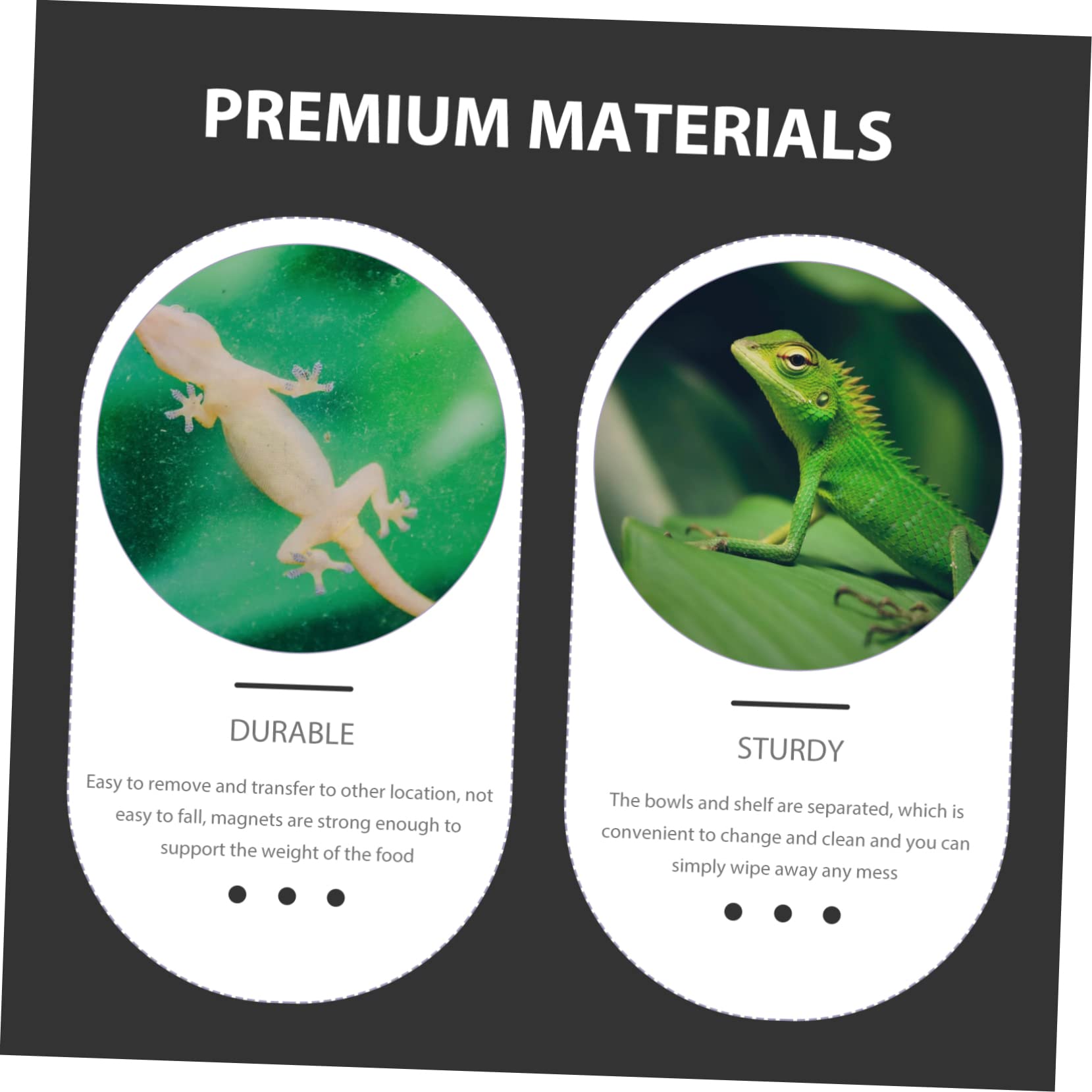 BESPORTBLE 5pezzi Mangiatoia per Rettili Ciotola per e Accessorio per Terrari e Tartarughe Facile Compatibile Rettile