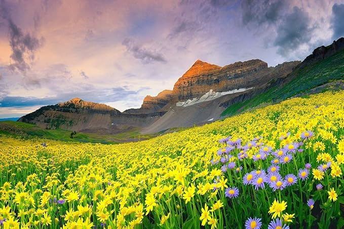 Go Green Tale Nature Flowers Valley Scenery Sticker Poster|Wall Sticker|Sticker Poster for Room/Corridors/Shops|Poster for Decoration|1Pc Wall Sticker Paper