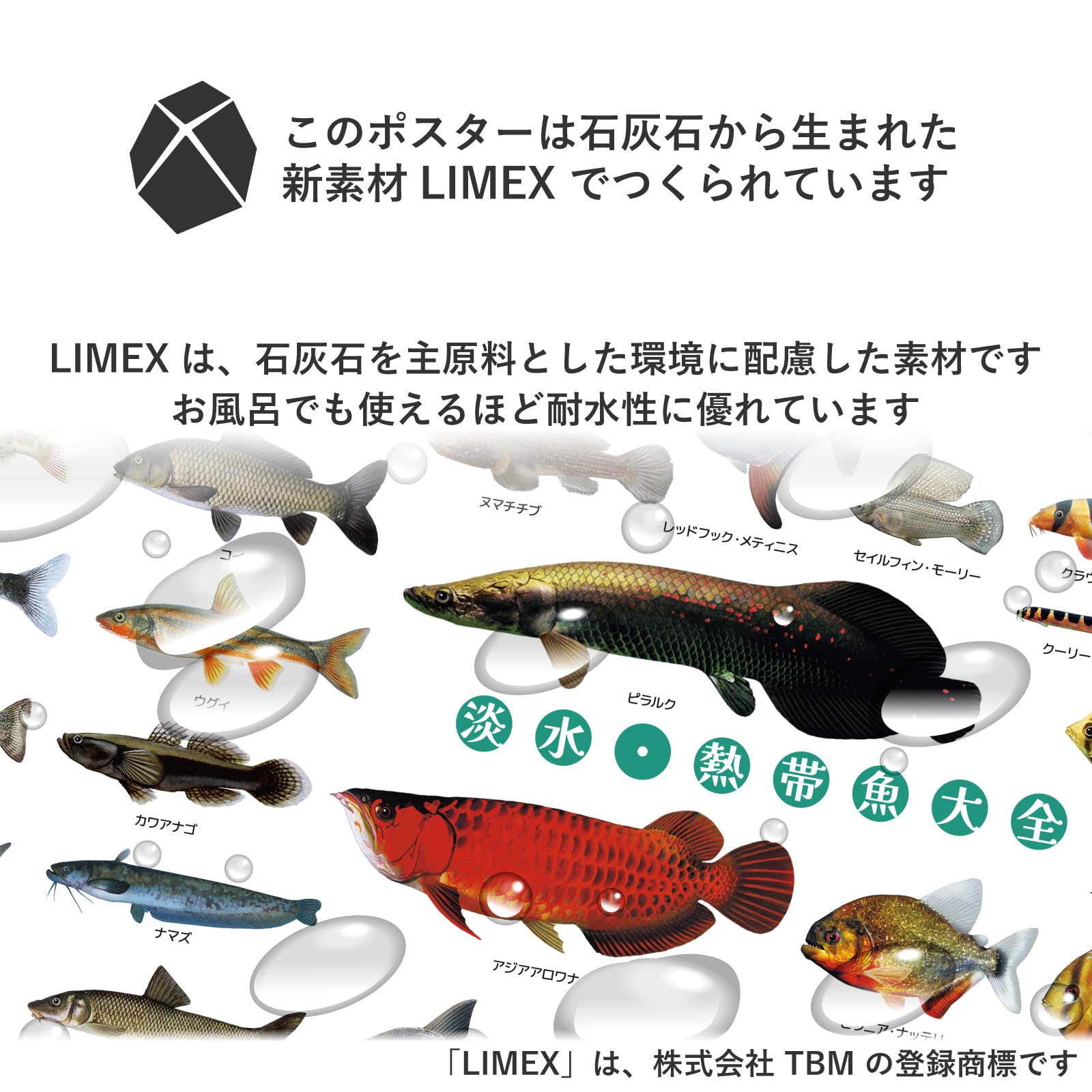 Amazon.co.jp: The Access Poster Freshwater Tropical Fish