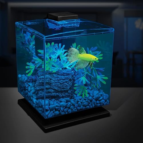 Miniatura 4 de GloFish Grava para acuario 5 libras, nacarado, complementos tanques y decoración (AQ-78484)