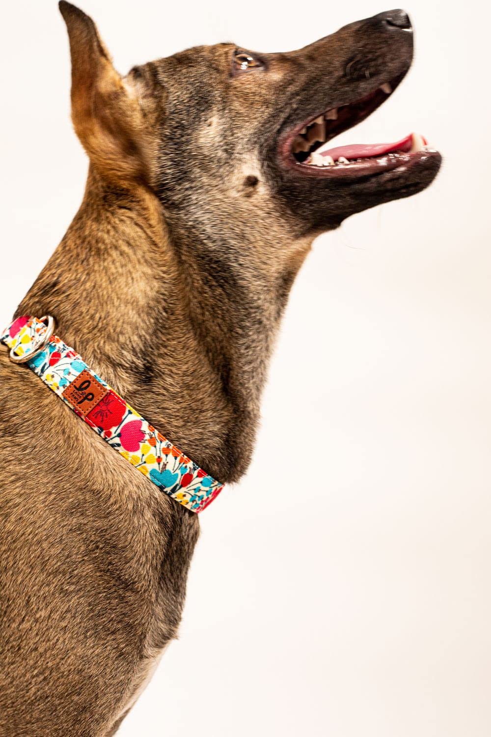Lana Paws Summery Skin-Friendly, Lightweight & Durable Fabric Dog Collar, Medium (B09X9QW3DN) Amazon Price History, Amazon Price Tracker