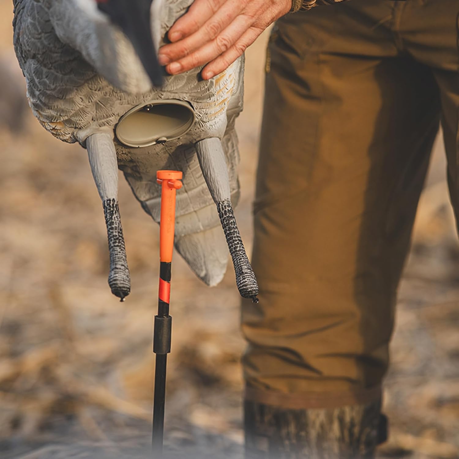 Avery GHG Sandhill Crane Full Body Active/Feeder Pair, 2-Pack Upright & Feeding Posture Motion Decoys for Hunting, Realistic Feather Detail, Anatomically Correct Body Styles, Adult/Juvenile