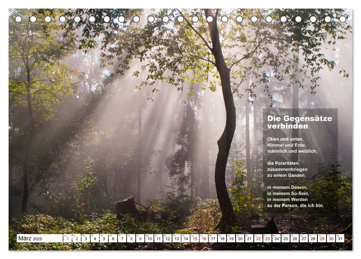 Stehen wie ein Baum (Tischkalender 2025 DIN A5 quer), CALVENDO Monatskalender: Bäume ermutigen zum aufrechten Stehen, zum Durchstehen von Situationen. (CALVENDO Glaube)