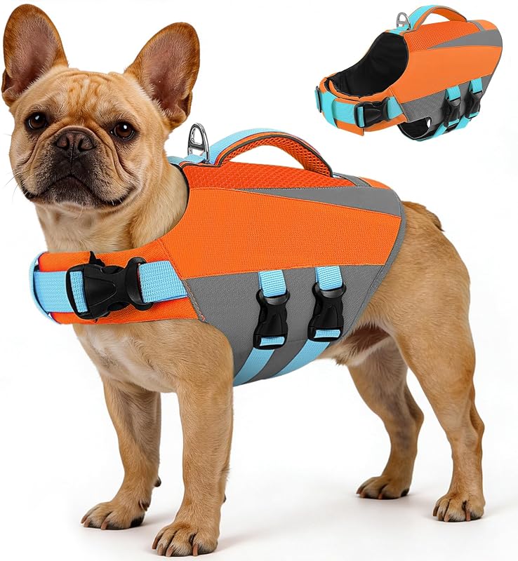 Colete Salva-Vidas para Cães Queenmore com Flutuação, Alça de Resgate e Faixas Refletivas, Laranja, S