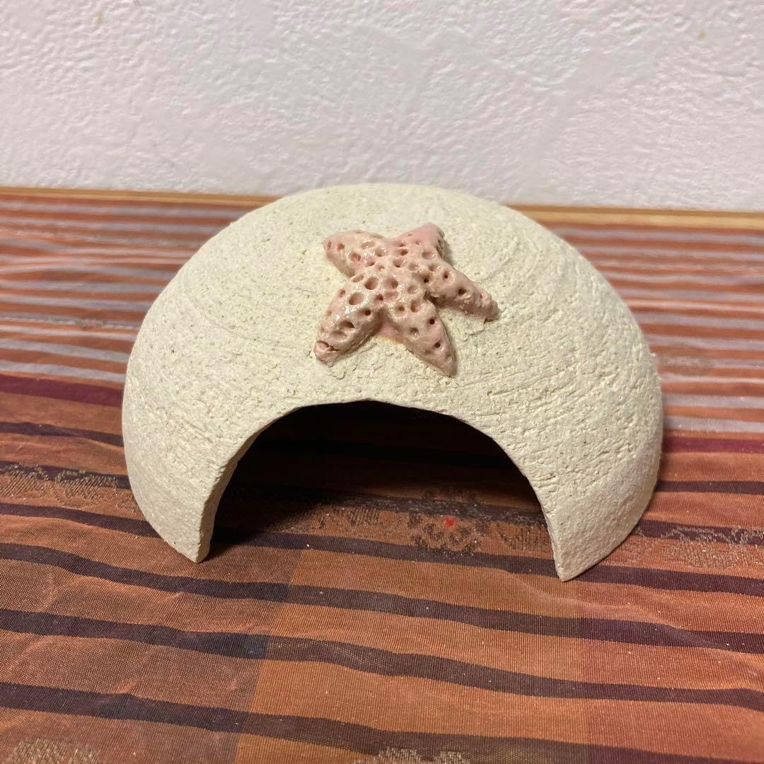 爬虫類シェルター ドライ ヒトデ赤