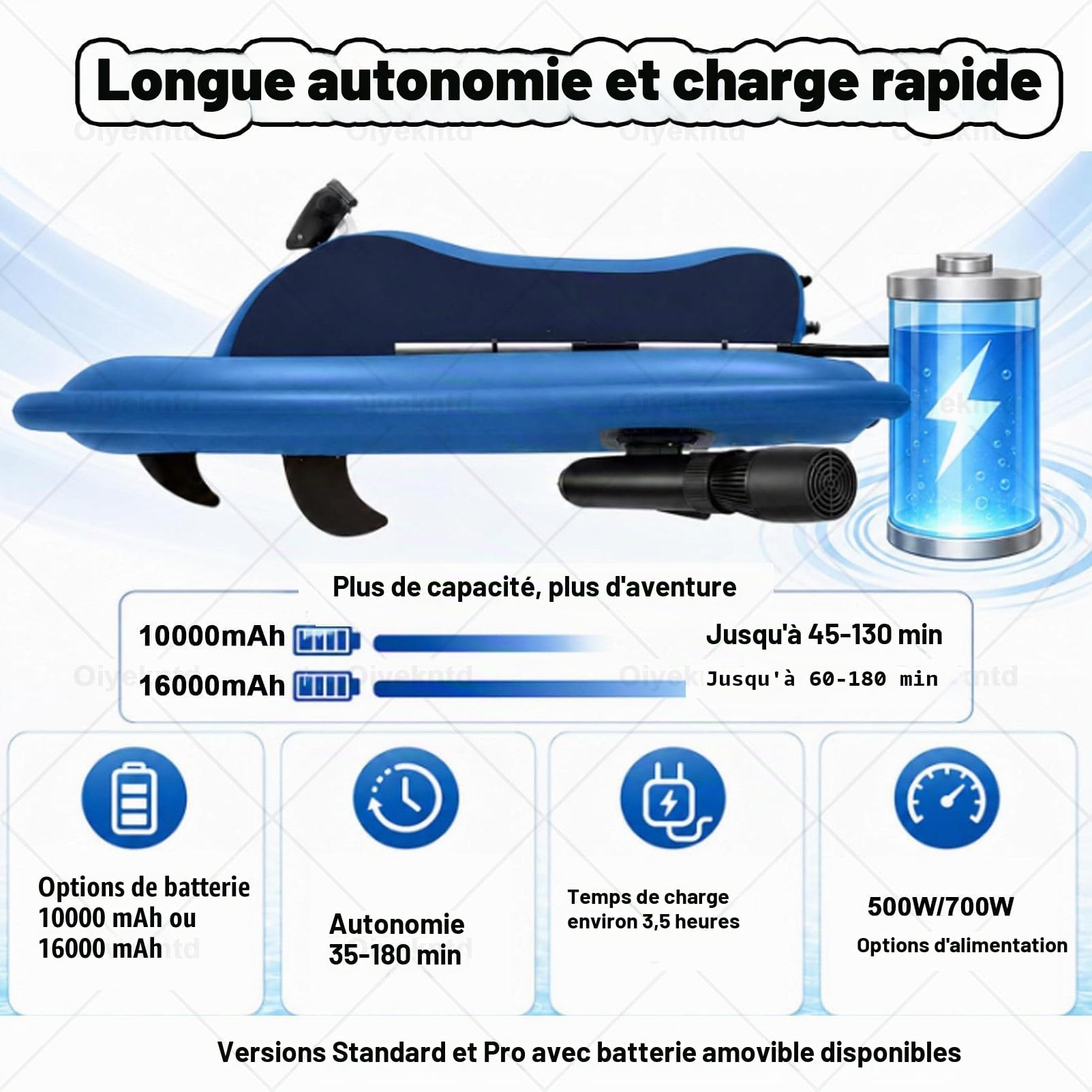Jet-ski gonflable motorisé / Jet-boat électrique gonflable pour adultes avec moteur 500 W/700 W, capacité de charge max. 150 kg (330 lb), pour la mer, la piscine et les sports nautiques 500W16A