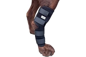 Labra Dog Extra Supportive Canine Rear (Hind) Leg Hock Joint Compression Wrap