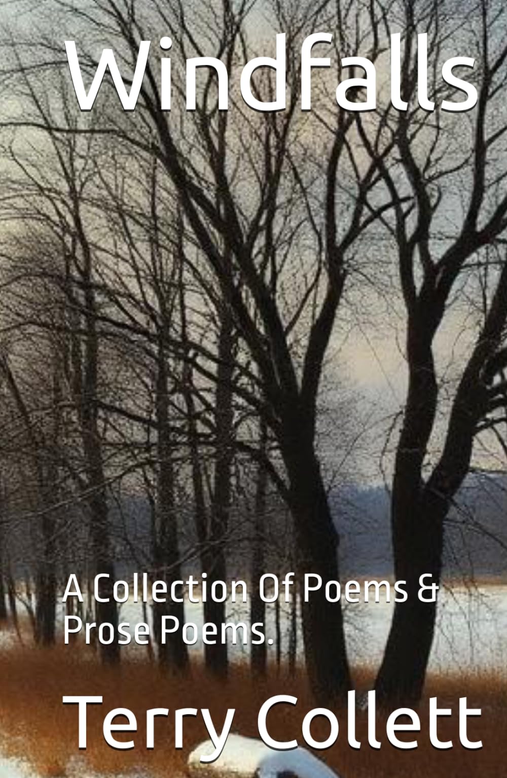 Windfalls: A Collection Of Poems & Prose Poems.