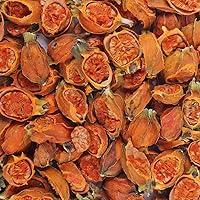 Vista 4 de Polvo de extracto de fruta de Gardenia puro orgánico natural, 1.1 libras (17.64 oz)