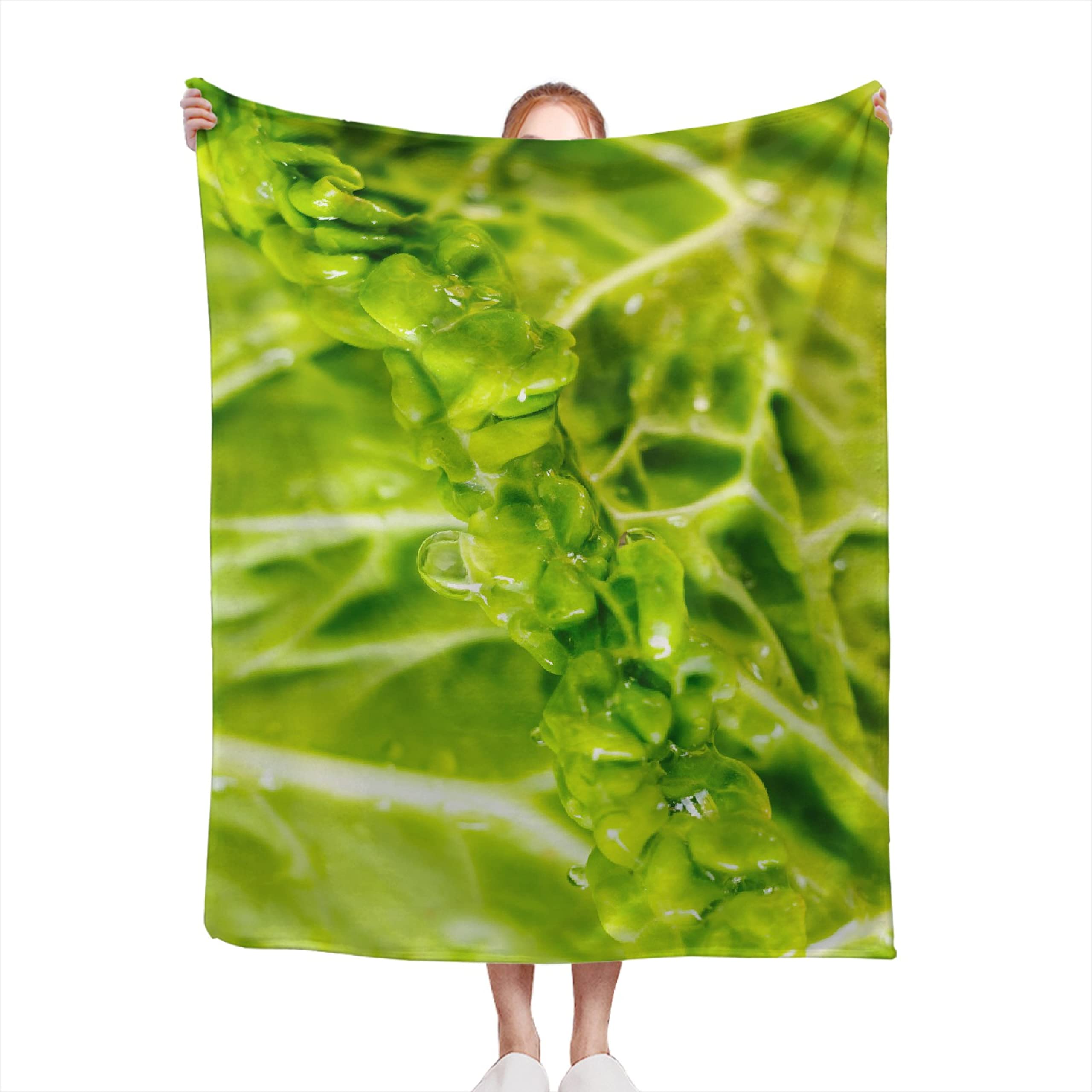 Green Vegetables Blanket,Lightweight Flannel Fleece Love Green Vegetables Throw Blanket Gifts for Girl All Season,Blanket for Bed/Couch/Sofa 40