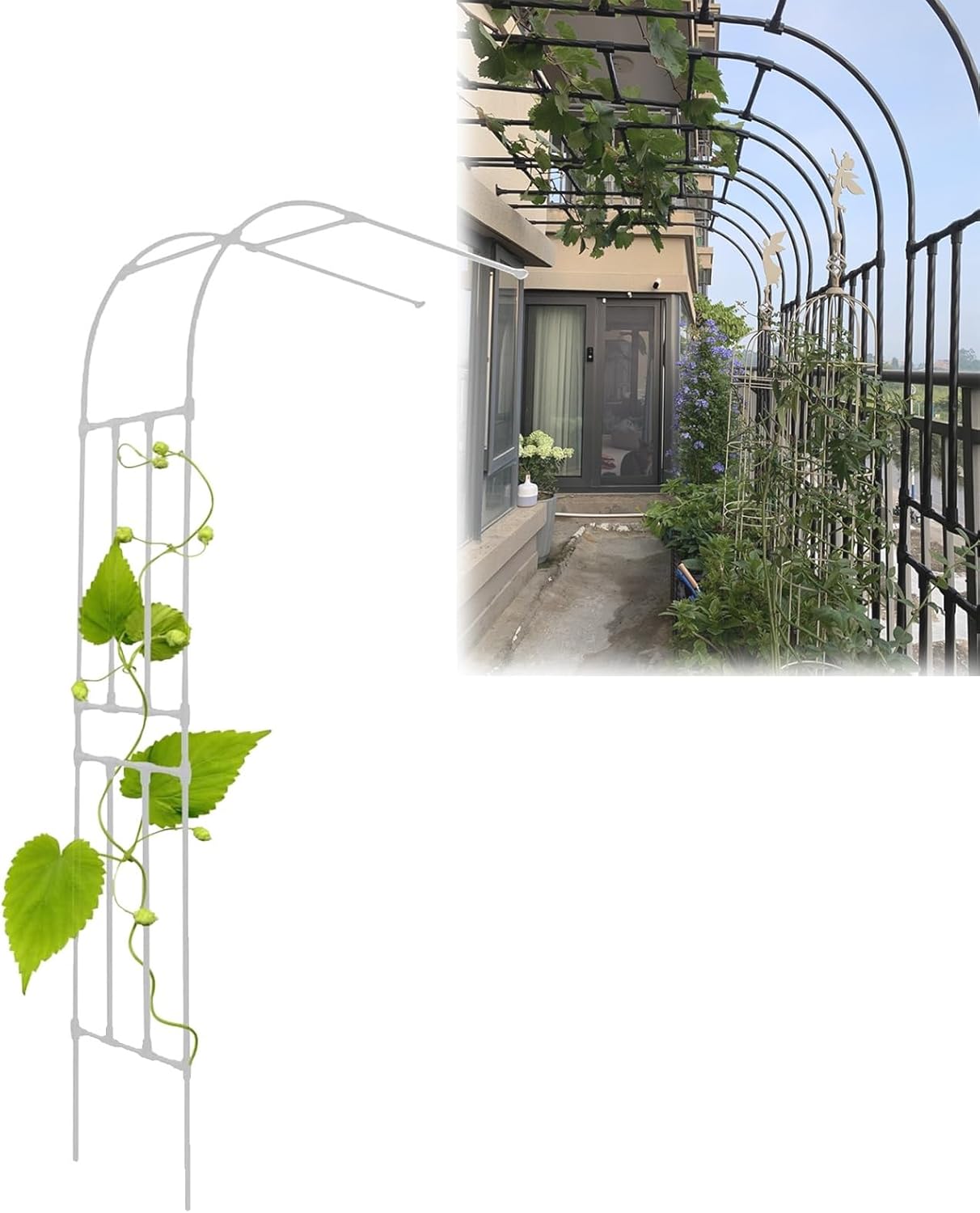 Amazon.co.jp ガーデンアーチ 花ささえ 黒・白 軽量で耐久性があります、幅 60・90・120・150・180・220