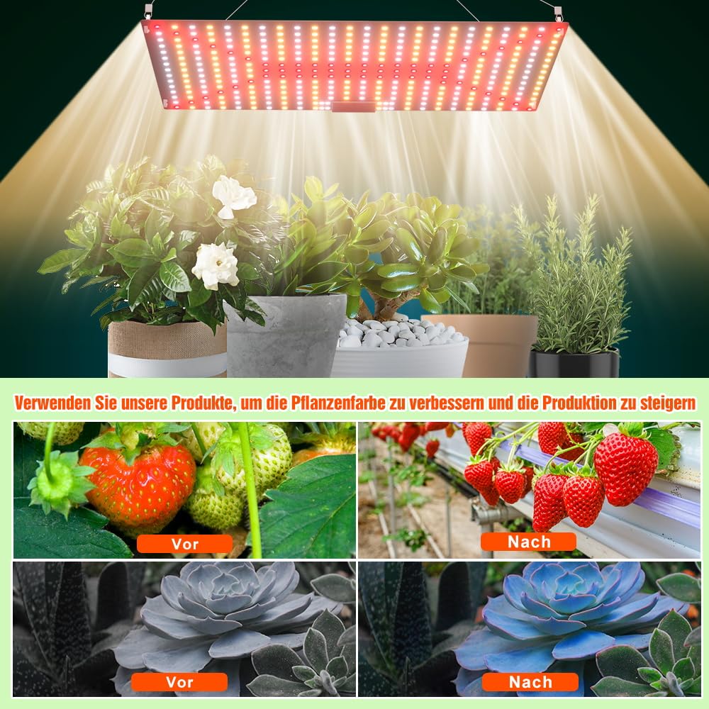 Lampa LED do wzrostu roślin pełne spektrum 150W UV IR Czerwona Niebieska 220V do hydroponiki szklarni namiotu hodowlanego roślin domowych warzyw i roślin mięsnych, 2 sztuki