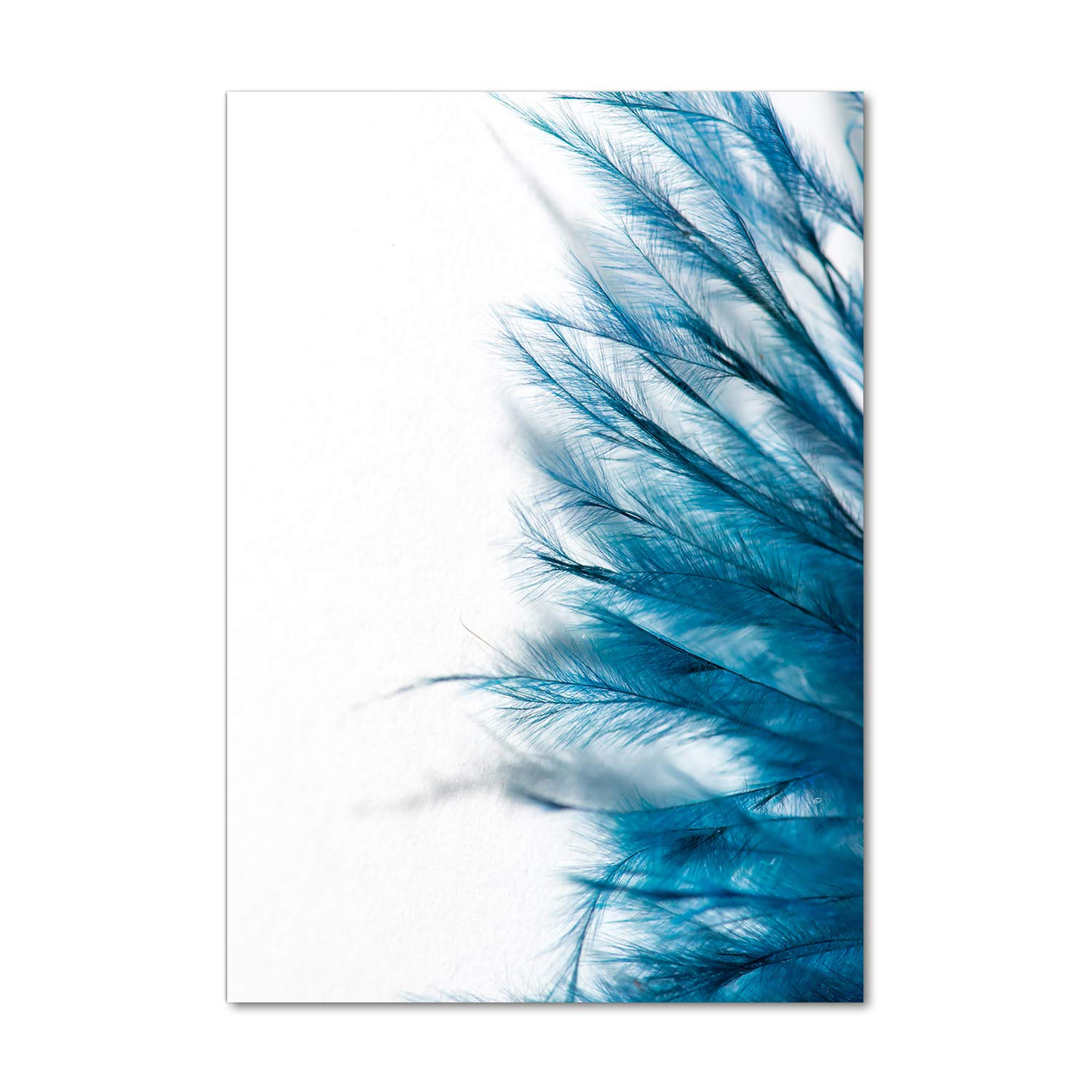 Image sur verre acrylique Tulup 70x100 cm, tableau mural premium plumes bleues
