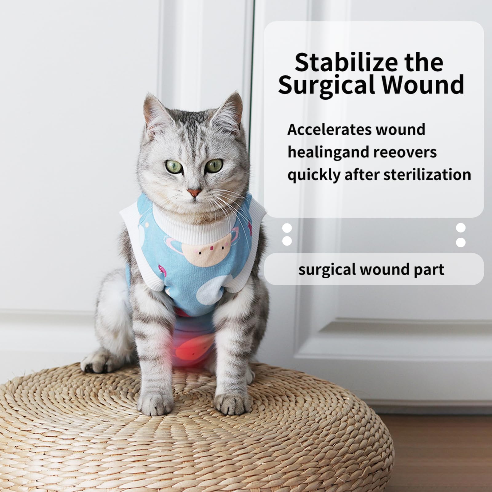 Cat Professional Recovery Suit,Body Suits for Abdominal Wounds or Skin Diseases,E-Collar Alternative for Cats Onesie Cat Clothes After Surgery Collar & Cone Alternative - Image 2
