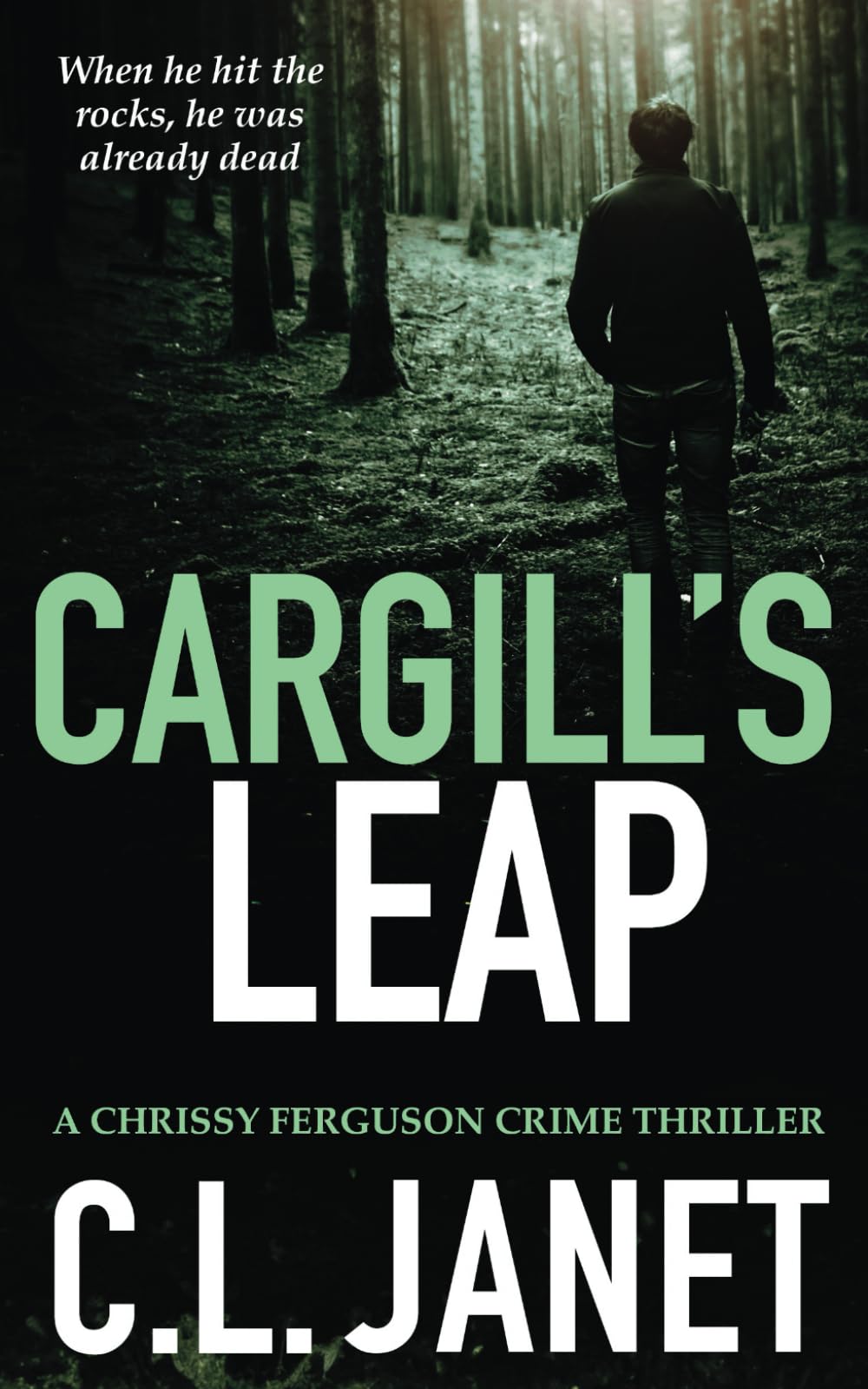 CARGILL'S LEAP: A compelling and twist-filled mystery (CHRISSY FERGUSON BOOK 2) (CHRISSY FERGUSON MYSTERIES)