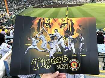 71hUYWsayCL._AC_UF350,