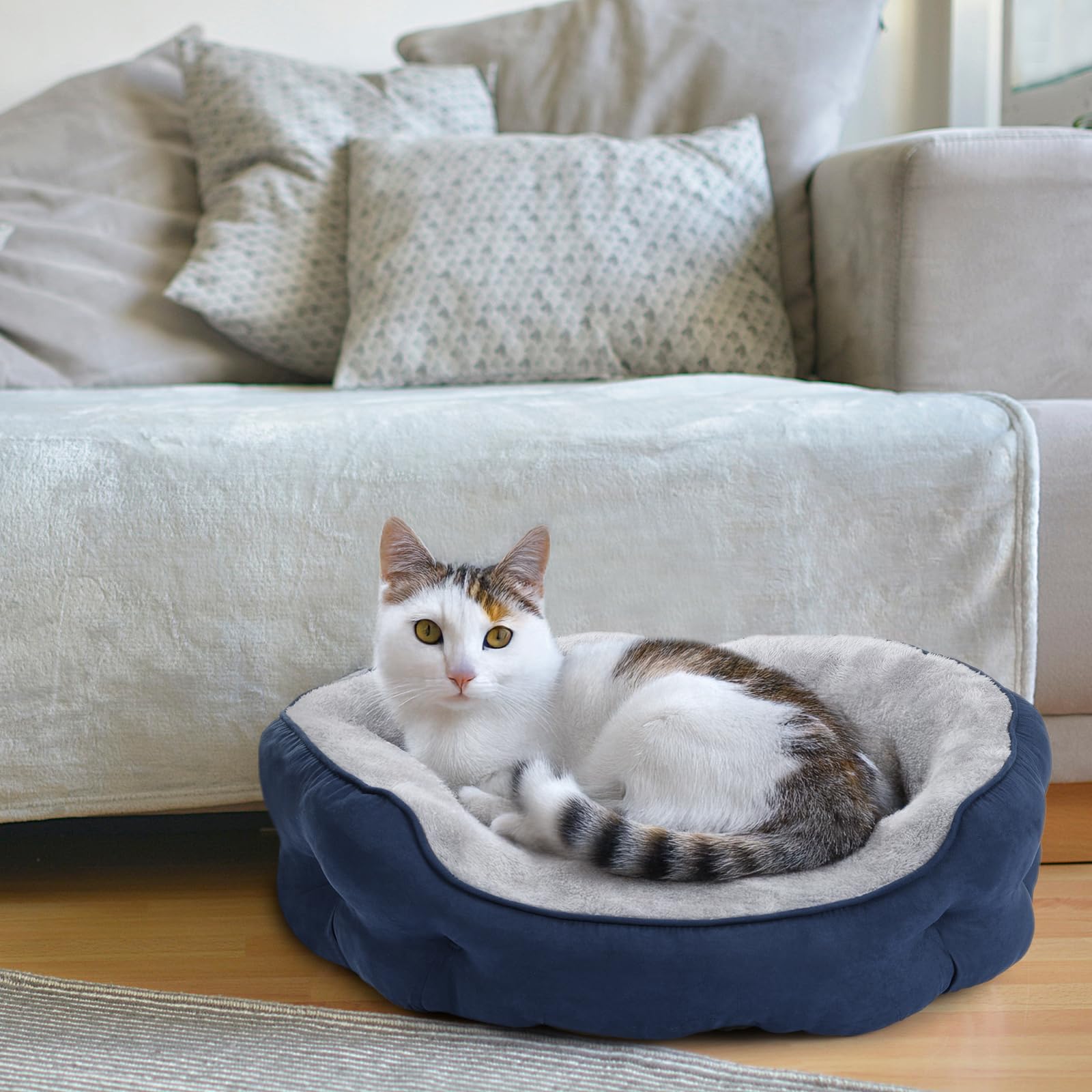 PureWags 20'' x 19'' x 6'' Small Dog Bed, Oval Cat Bed Washable for Indoor with Non-Slip Bottom and Removable Cushion, Pet Bed for Puppy and Kitten, Navy Blue