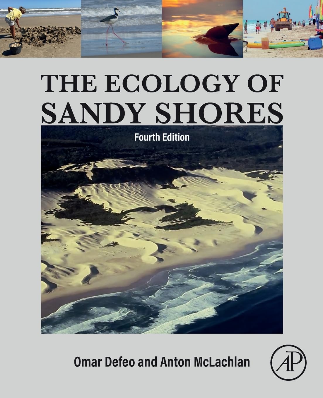 The Ecology of Sandy Shores