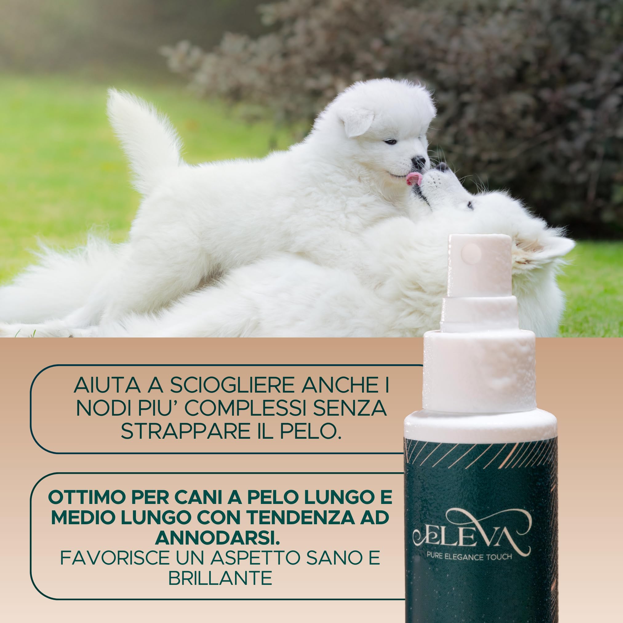 ELEVA PET - Kit Conosciamoci - Shampoo Delicato, Maschera Nutriente e Scioglinodi per Cani - Beauty Routine Completa - Ingredienti Vegetali - PH Ottimizzato - con Olio di Lavanda - Made in Italy