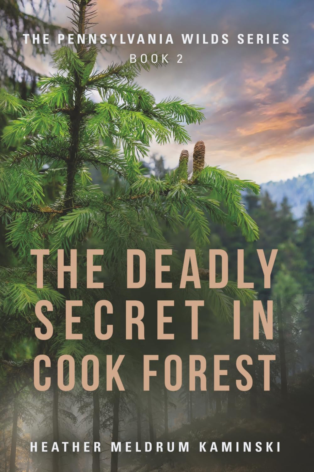 The Deadly Secret in Cook Forest: The Pennsylvania Wilds Series - Book 2