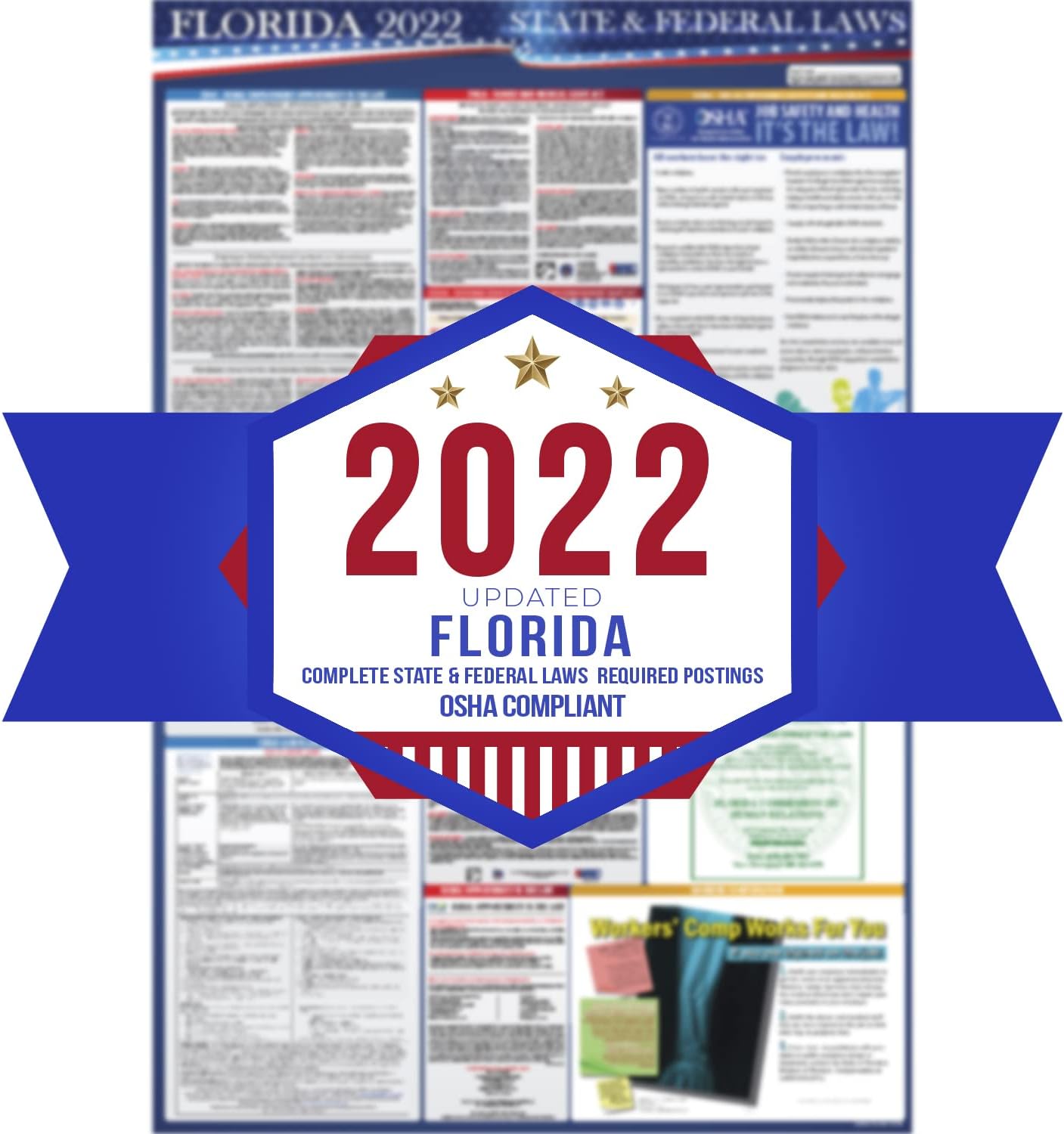 Buy 2022 Florida State and Federal Labor Laws Poster OSHA Workplace