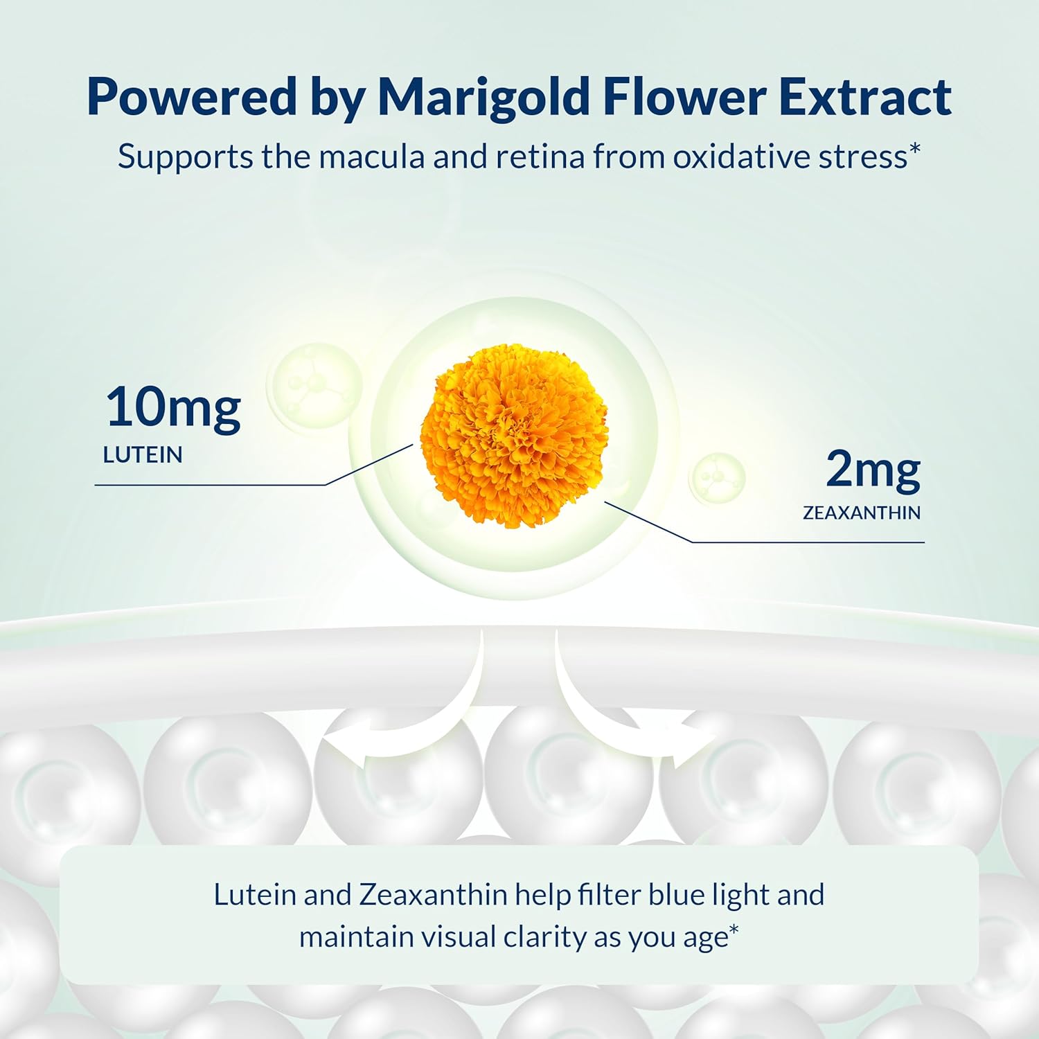 Dr. Grossman’s Whole Food Advanced Eye & Vision Support Formula – Eye Supplement with Lutein, Zeaxanthin, Bilberry & Prickly Pear – Natural Supplement Blend for Eye Health & Clear Vision – 60 Capsules - Image 5