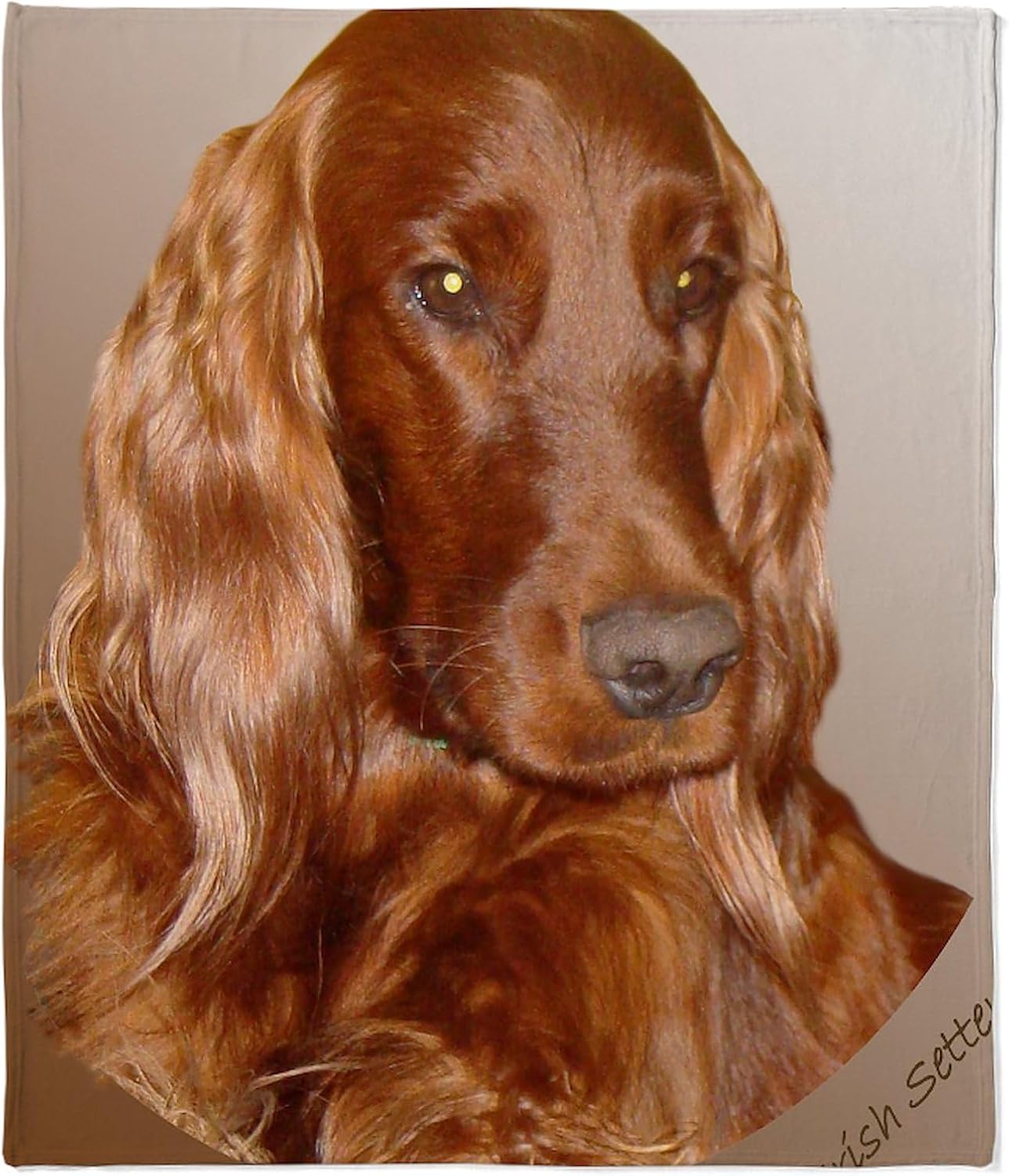 CafePress Irish Setter Throw Blanket Super Soft Fleece Plush Throw Blanket, 60"x50"
