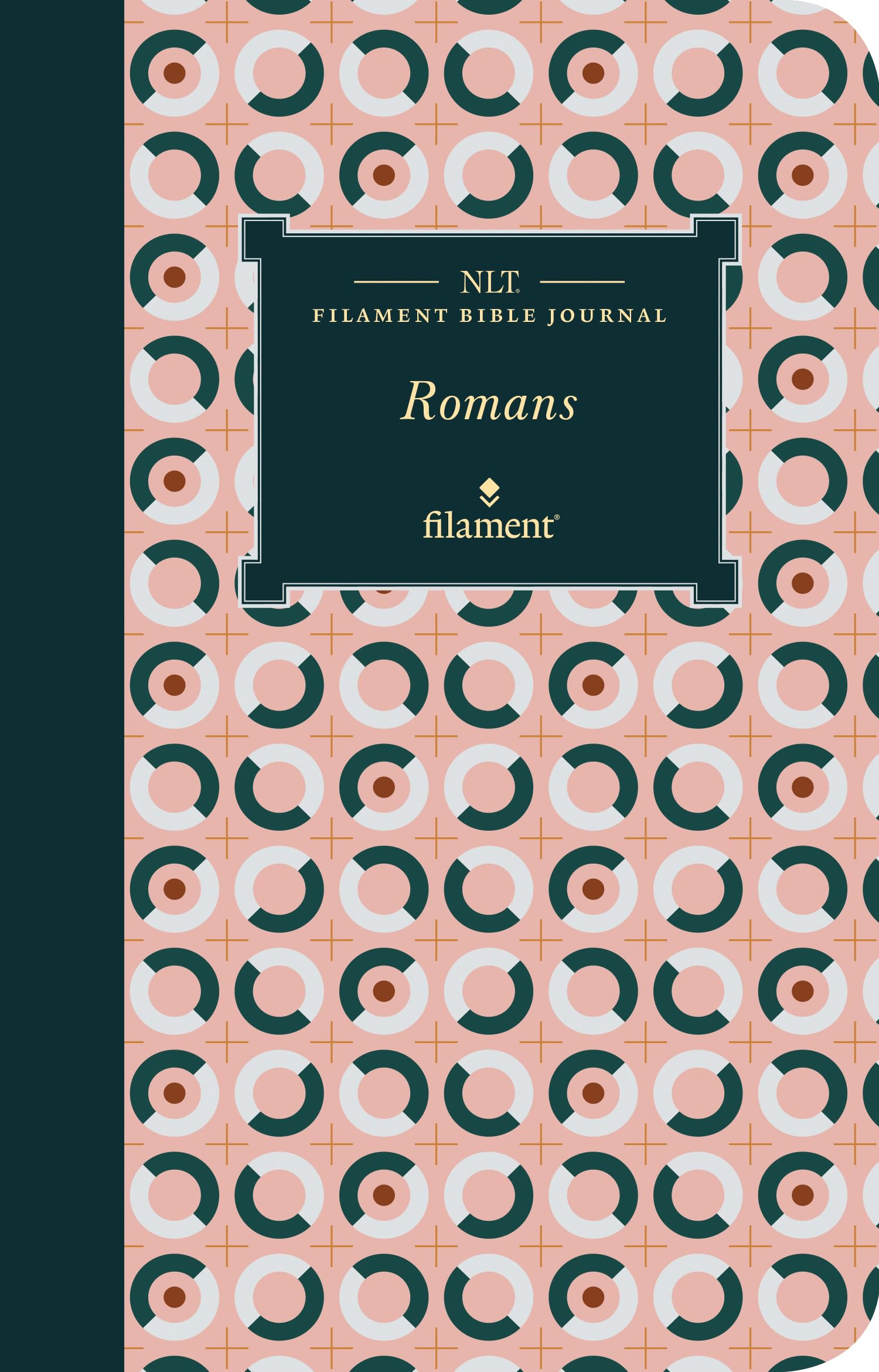 NLT Filament Bible Journal: Romans (Softcover)