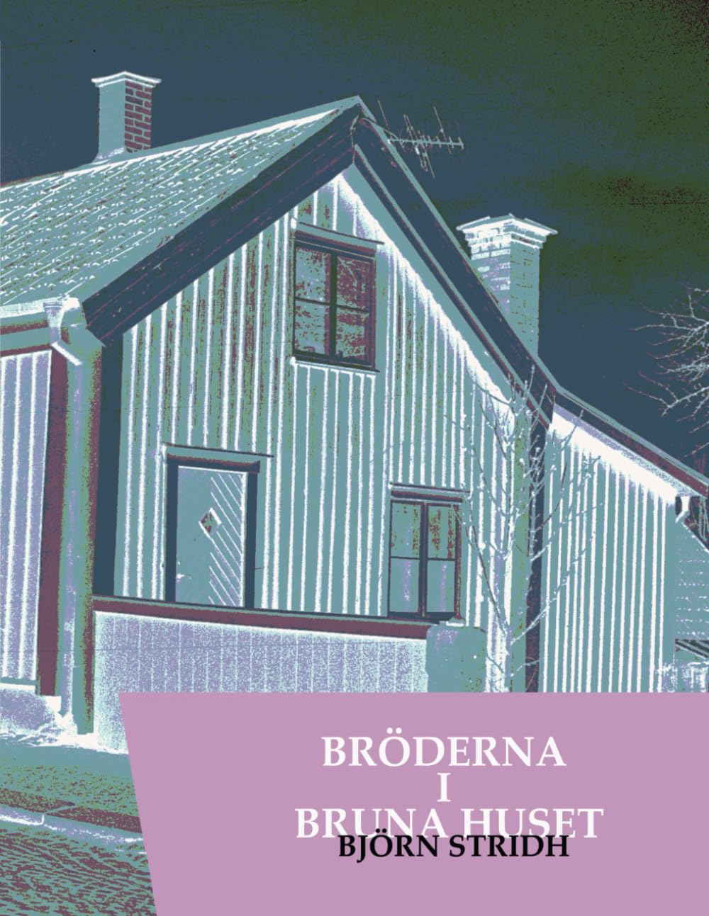 Bröderna i Bruna Huset Inspirations Photo contre Panne Créative