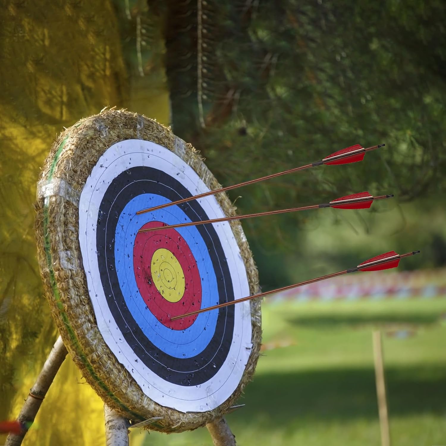 TOPARCHERY Premium 30" Carbon Hunting Arrows with 4" Real Turkey Feathers Fletching and Removable Tips - 500 Spine Practice Target Arrows for Recurve Bow Long Bow -12Pcs