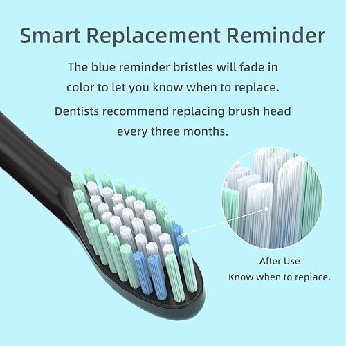 Miniatura 4 de Cabezales de cepillo de dientes eléctrico sónico para adultos para CD-02, CD-04, CD-06, CD-10, CD-11, CD-13, CD-14, cerdas tipo limpieza diaria,