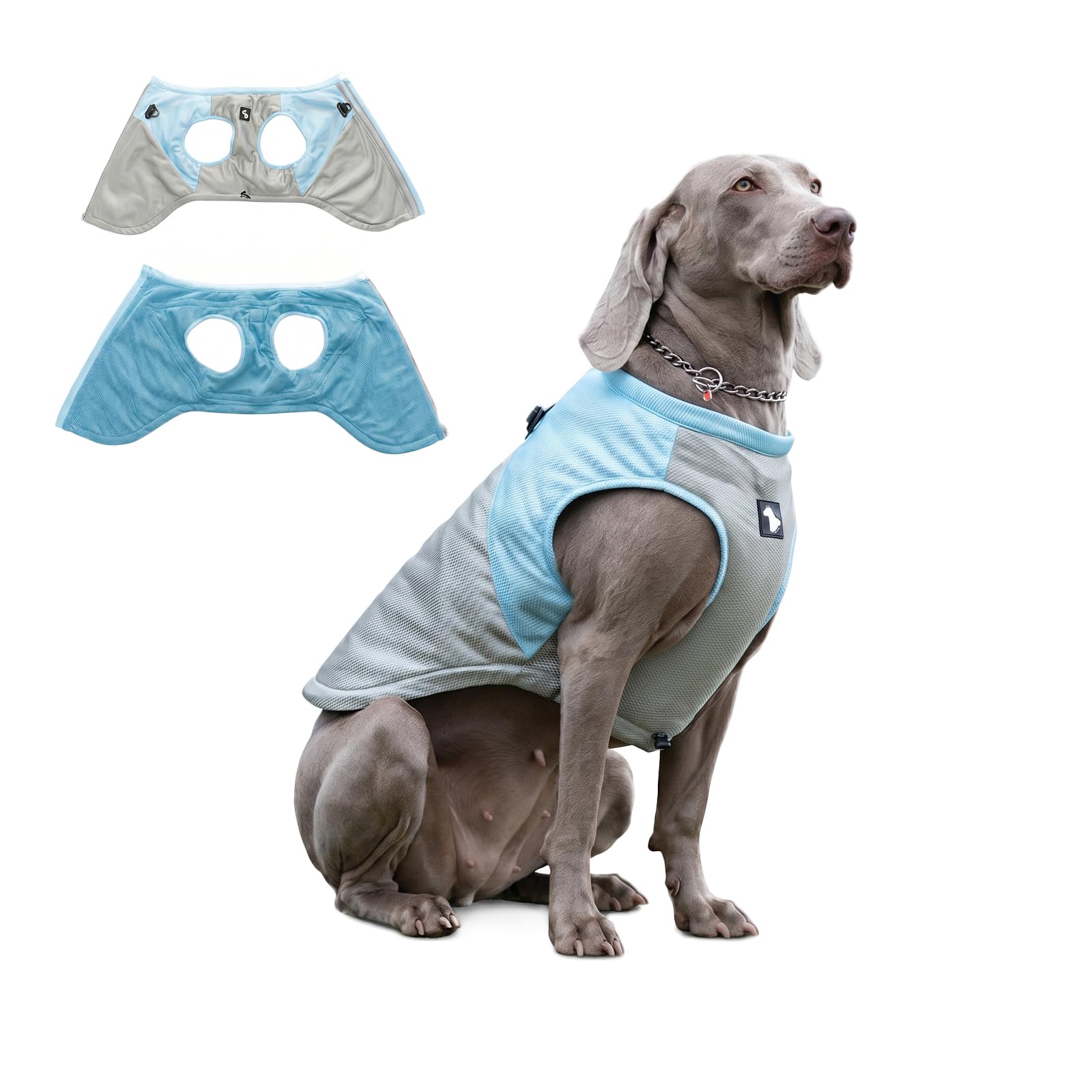 Dog Cooling Vest, Medium and Large Dogs Cooling Vest, Cooling Jacket, for Outdoor Activities, Hiking, Training, Prevent Heat Stroke in Dogs (Blue, 2XL)