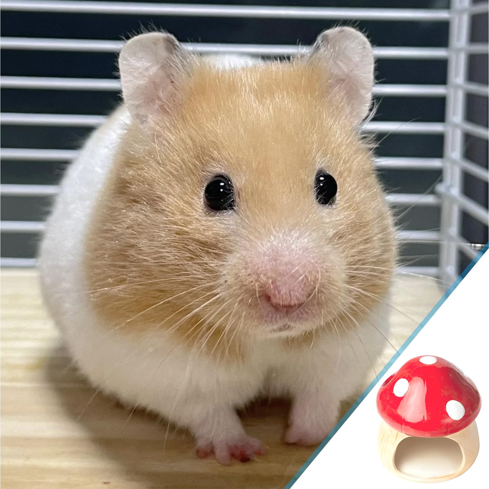 Maison en céramique pour hamster : cachette durable pour hamster, hamster et tunnel pour jouets dentaires en forme de champignon, grandes entrées pour gerbilles, souris, chinchillas (rouge)
