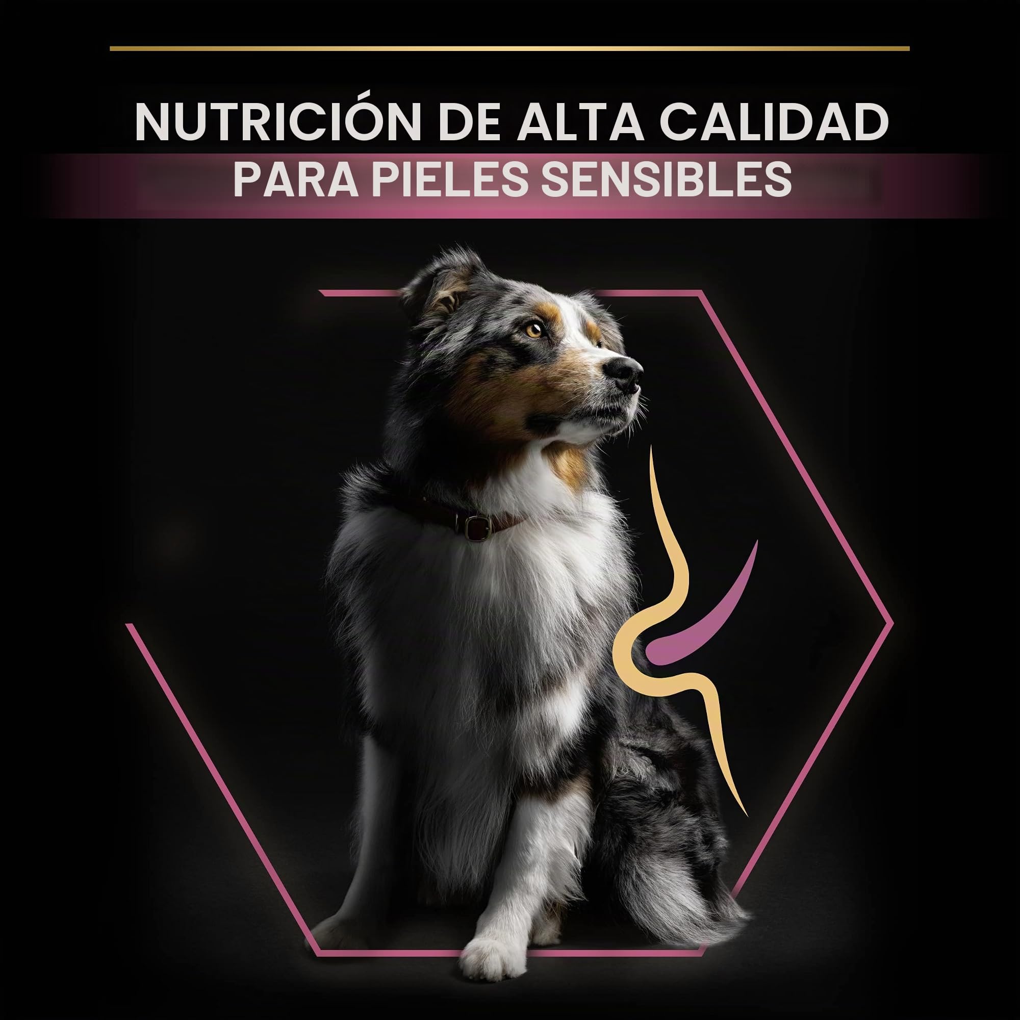 Pro Plan - Medium Adult Sensitive Skin con Optiderma, Rico en salmón – 7 kg – Pienso para Perros Adultos de tamaño Mediano