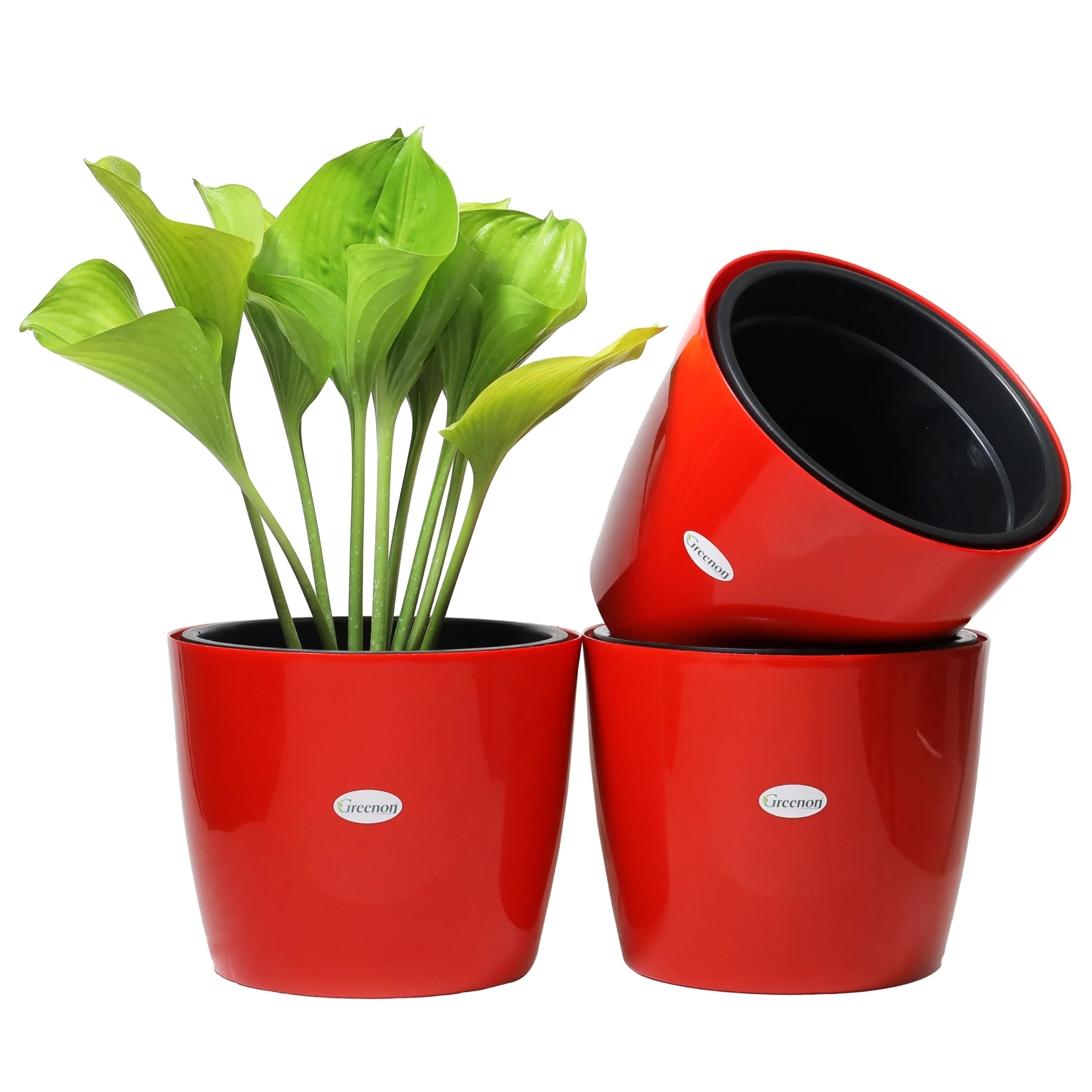 GREENON Self Watering Pots - Set of 3 -21 GREENON Self Watering Pots - Set of 3 -21