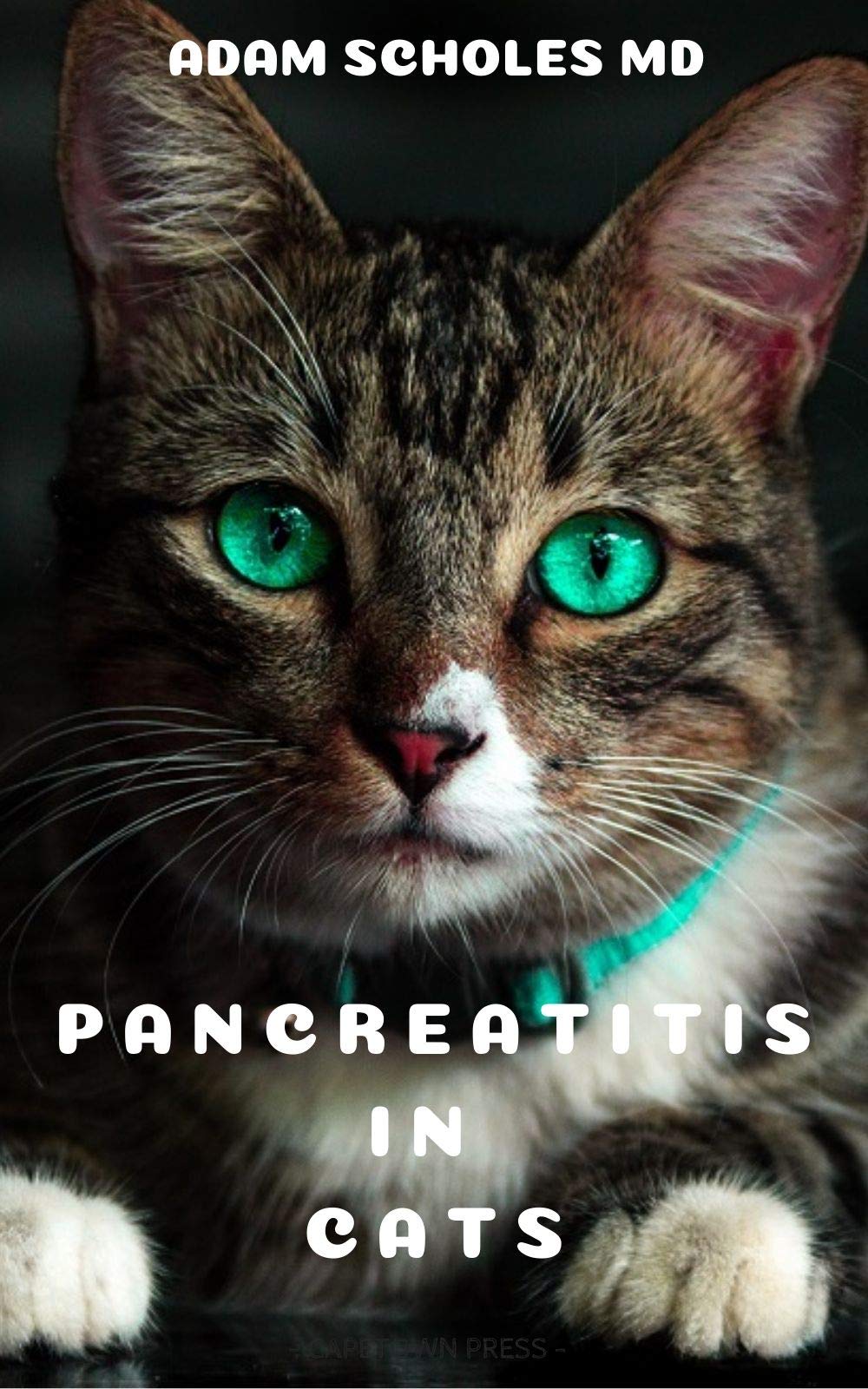 Buy PANCREATITIS IN CATS All You Need To Know About Pancreatitis in