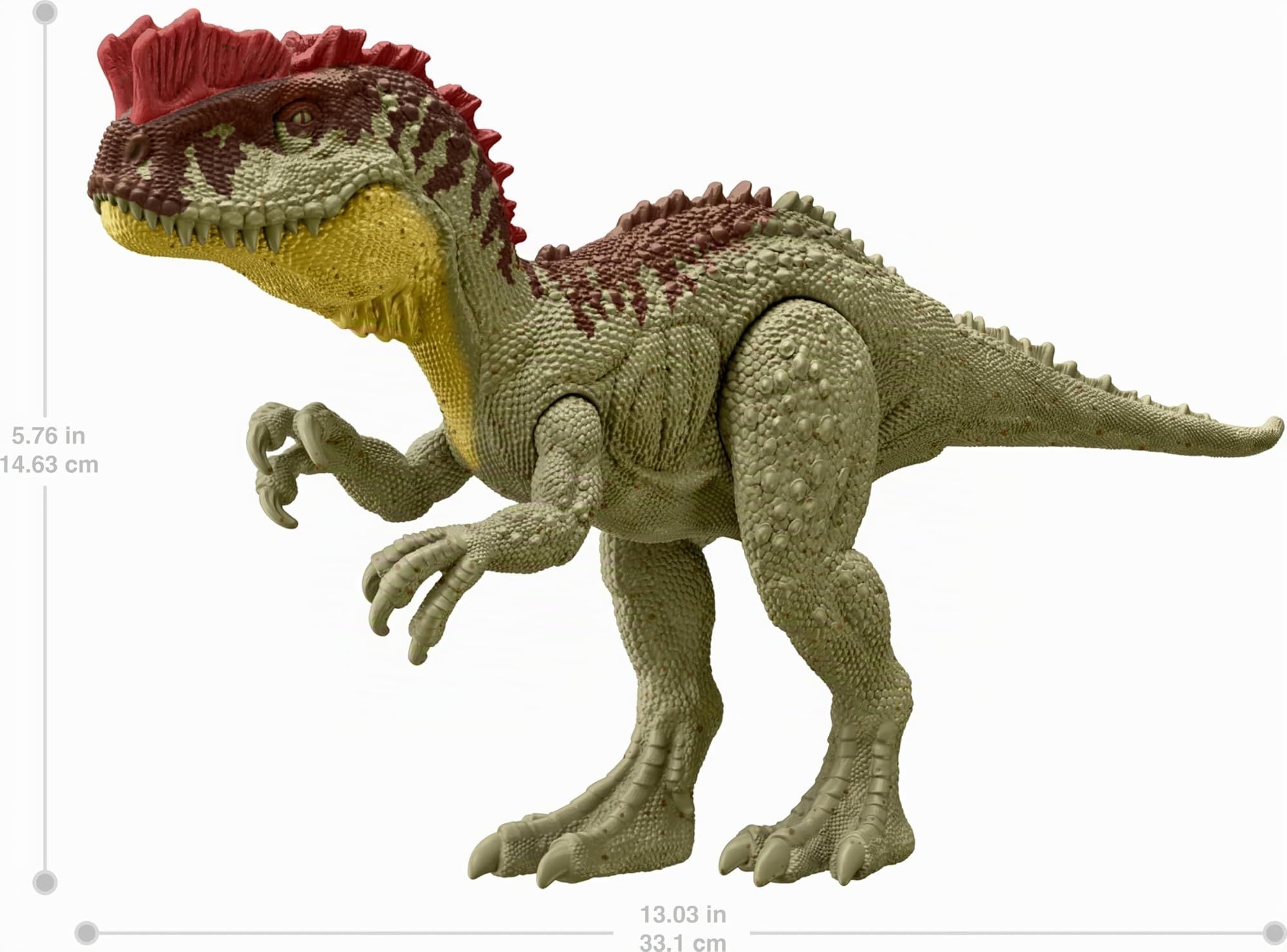 Mattel Jurassic World Große Dinosaurier-Figuren, ca. 30,5 cm hoch, Spielzeug mit authentischer Dekoration und realistischer Skulptur, Geschenk für Kinder ab 3 Jahren