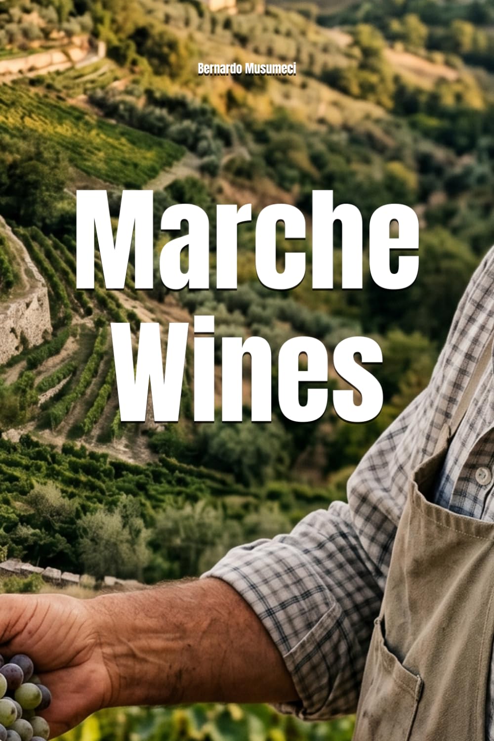 Marche Wines (Wines of the World: Italy)