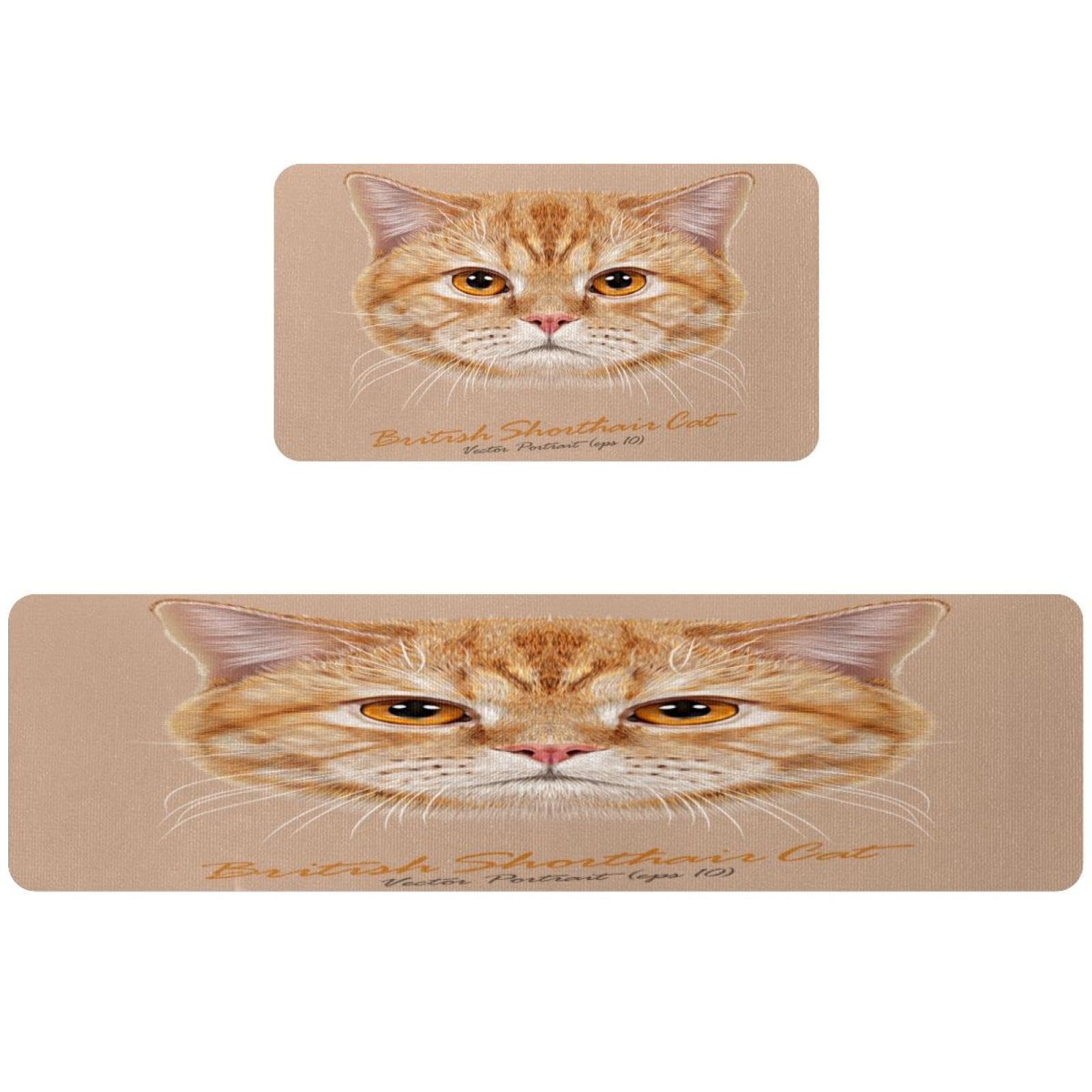 Tapis de cuisine antidérapant lot de 2 chat britannique lavable pour sols secs