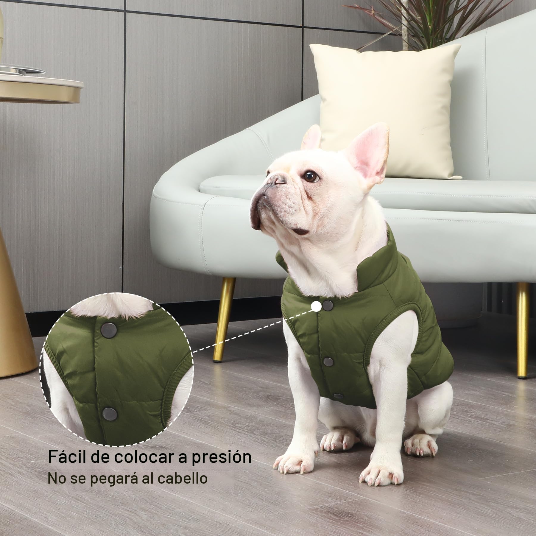 JoyDaog - Chaqueta de perro con forro polar de 2 capas para invierno y clima frío, extra suave, a prueba de viento, para cachorro y perros pequeños, verde, XS