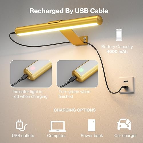 Miniatura 5 de Olafus Luz de imagen inalámbrica recargable con pilas, lámpara de pintura con control remoto con tubo extraíble, infinitamente regulable,