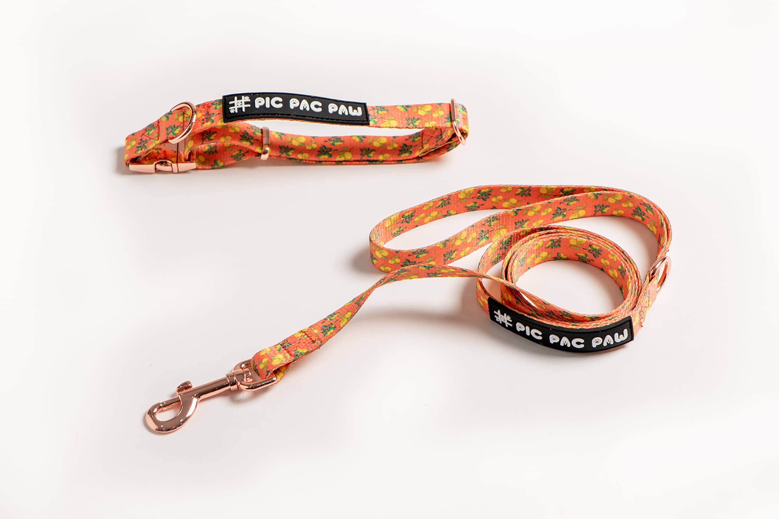 Pic Pac PawSqueeze Please Collection- Leash and Collar for Small Medium and Large Dogs (S)