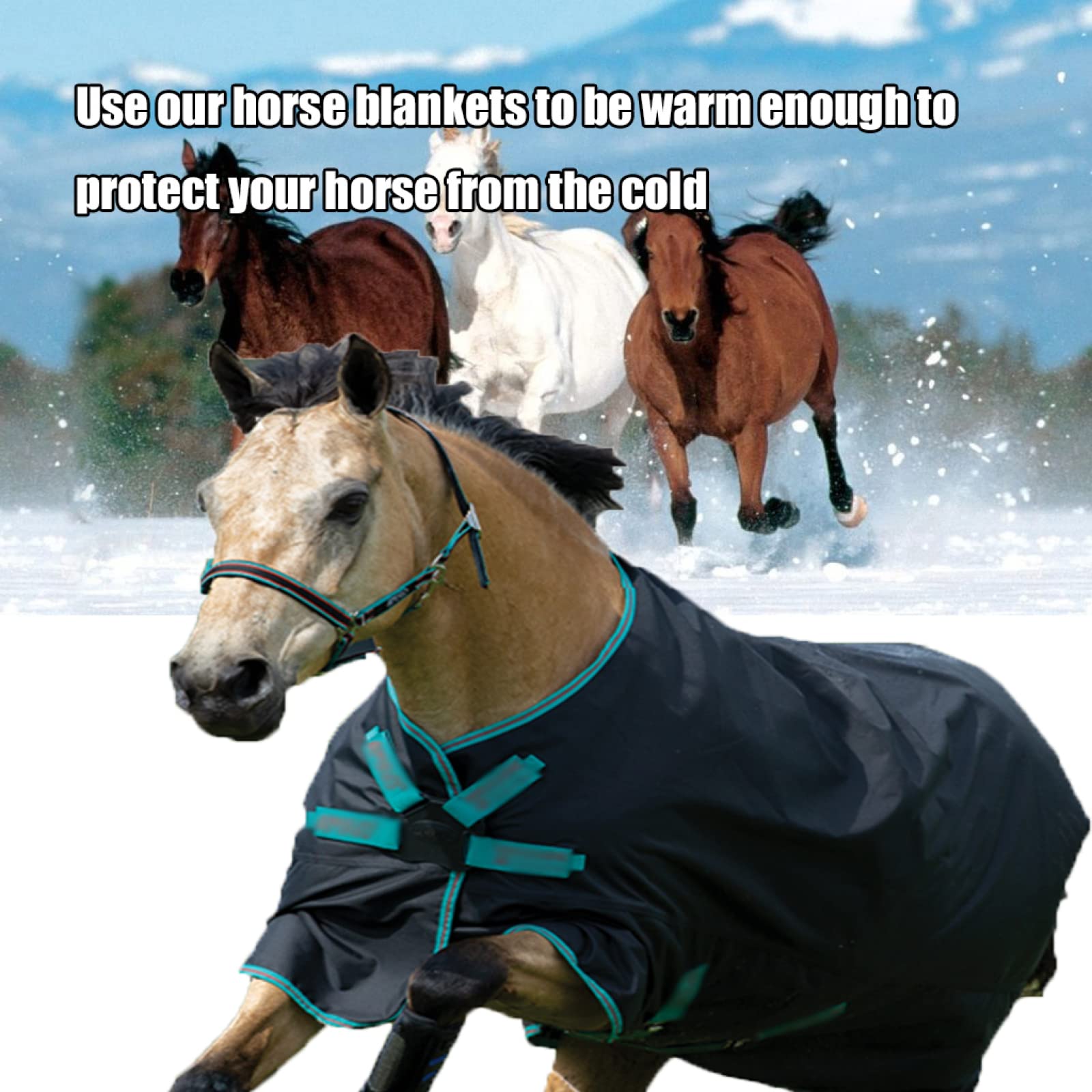 Gewicht Pferd Weidedecke, Comfortable, Breathable and Durable Fabric, Easy to Put on and Take Off, Adjustable Buttons Make the Horse Move Freely(145cm/57in)